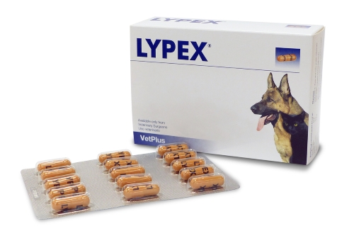 Lypex Pack